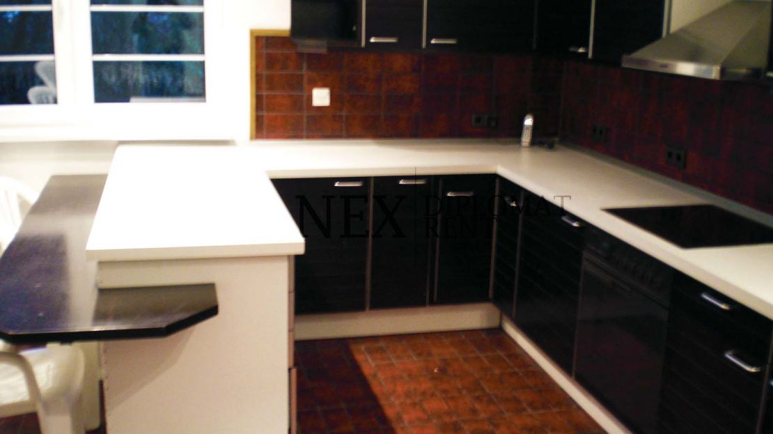 Commercial space 10 offices Vracar Belgrade P515