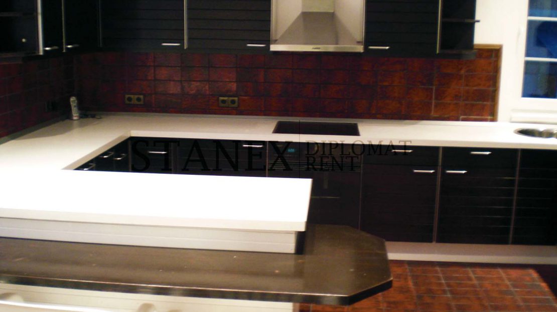 Commercial space 10 offices Vracar Belgrade P515