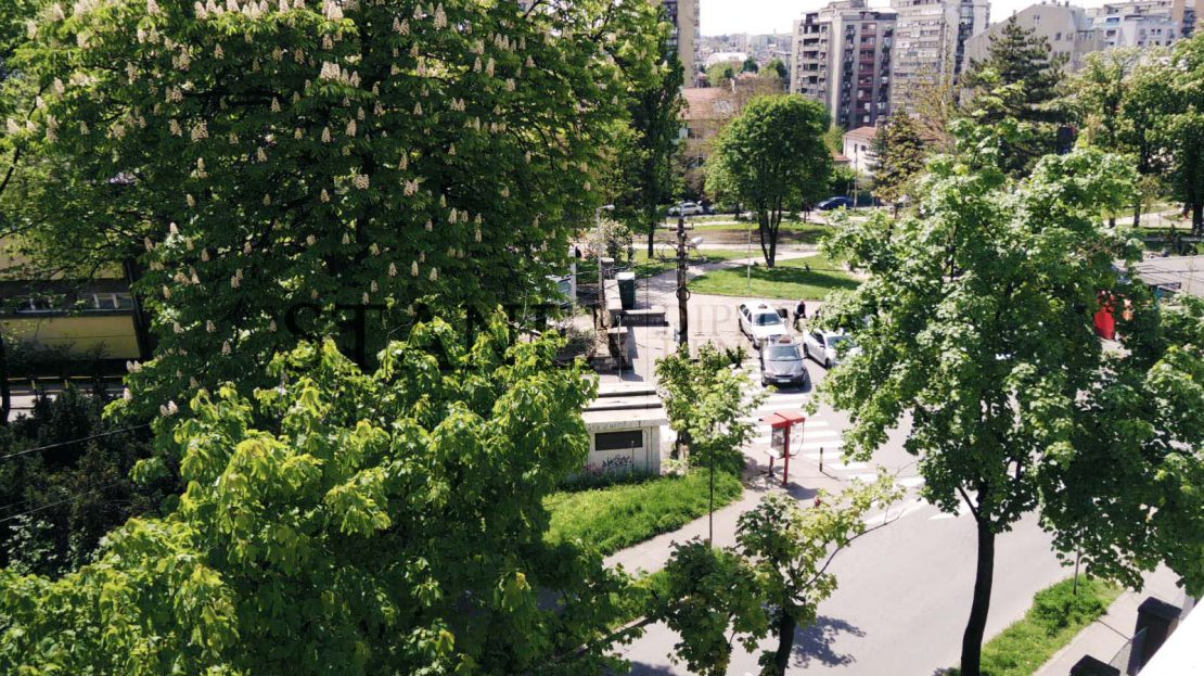 Commercial space with 5-10 offices Vracar Belgrade P040