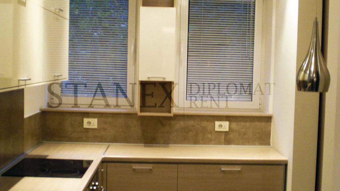 Five bedrooms house Dedinje Belgrade K479