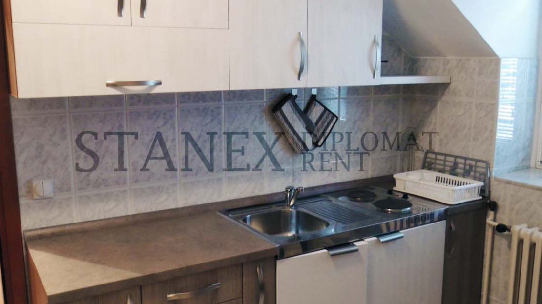 Five bedrooms house Senjak Belgrade K512