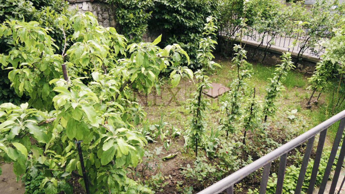 Three bedroom house Senjak Belgrade K515