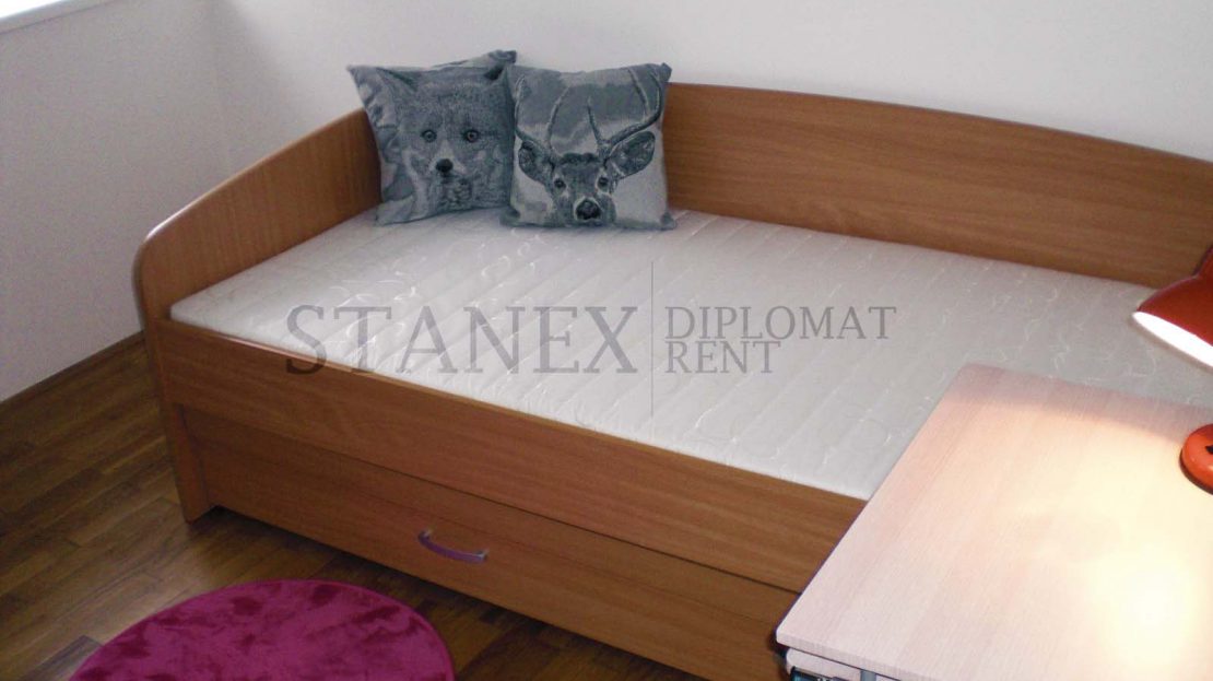 Three bedroom apartment Dedinje Belgrade S1052