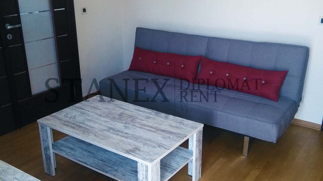 Three bedroom apartment Senjak Belgrade S1146